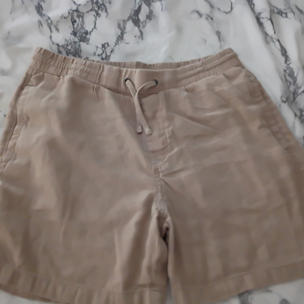 Zara Tan Men's Shorts